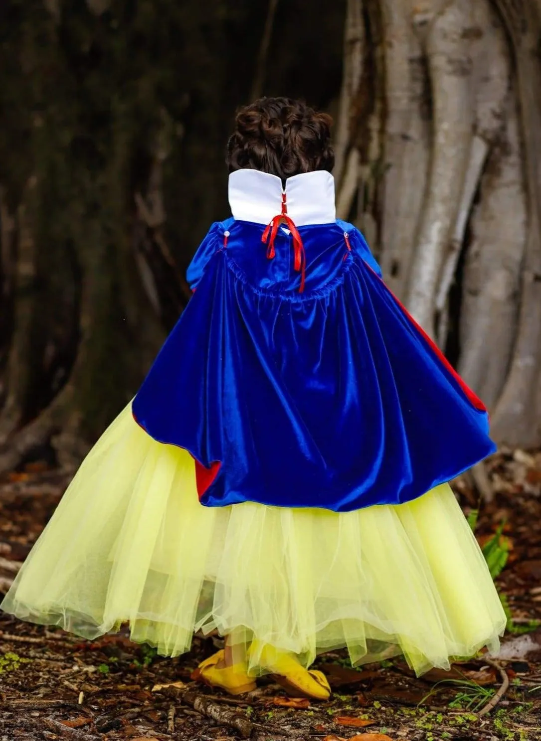 Girls Fairest Princess Deluxe Costume